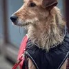 Hunter Hundemantel Wintermantel Uppsala Cozy anthrazit/rot Produktbild-Vorschau 9