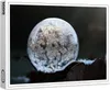 raxxa Premium-Puzzle "Frozen Bubble", 1000 Teile Produktbild-Vorschau 1
