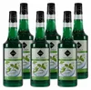 Rioba Mint (Minze) Syrup (6 x 0,7L) Produktbild-Vorschau 1