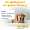 Amuleto Clean & Care Bath - Parasiten-Shampoo für Hunde & Produktbild-Vorschau 4