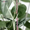 KOTARBAU® 6er Set Pflanzenstütze Rosa 39 cm PVC Produktbild-Vorschau 8