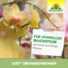 Neudorff Azet OrchideenDünger 250ml für 50L Gießwasser 100% Produktbild-Vorschau 6