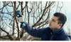 Bosch Professional 12V Akku-Pro-Astschere Pruner – Produktbild-Vorschau 14