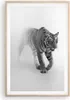 Gerahmtes Poster - Rahmen in heller Eiche - Tiger Monochrom Produktbild-Vorschau 1