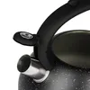 Czajnik Ze Stali Nierdzewnej Z Gwizdkiem 3 L Indukcja Gaz Podgląd zdjęcia produktu 4