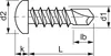 DIN7504N 4.2x 19 Phillips-KS verzinkt Linsen-Bohrschraube Produktbild-Vorschau 2