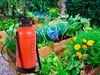 Handmatige Spuitset Voor De Tuin, 8L, Met Lange Spuitlanze Productafbeelding-voorbeeld 5
