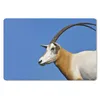 MuchoWow® Mauspad Mousepad Tier - Horn - Ziege 27x18 cm - Produktbild-Vorschau 1