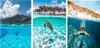 TELESIN Telesin Dome Port underwater housing for GoPro Hero Anteprima dell’immagine prodotto 22