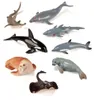 Miniland Figuren Von Meerestieren 8 Einheiten Mehrfarbig  Produktbild-Vorschau 1