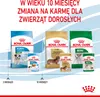 ROYAL CANIN SHN Mini Puppy in Sauce - Nassfutter für Welpen Podgląd zdjęcia produktu 11