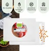 Tomatensamen (Principe Borghese, 10 Korn) - Tomaten Saatgut Produktbild-Vorschau 4