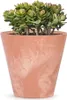 A jade plant in a pink pot. Produktbild-Vorschau