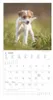 Alpha Edition - Welpen Kalender 2026 - Wandkalender 30x30 Produktbild-Vorschau 5