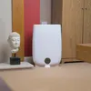 A white dehumidifier is placed on a carpeted floor next to a Buddha head statue and wooden cabinets. Produktbild-Vorschau
