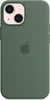 iPhone 13 mini Silikon Case mit MagSafe - Eukalyptus Produktbild-Vorschau 1