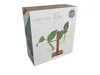 The image shows the product packaging for a hydro vase. Anteprima dell’immagine prodotto
