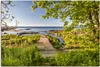ARTland Leinwandbild Der Weg zum Meer auf Bornholm Größe: Produktbild-Vorschau 1