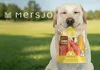 Mersjo weiche Hähnchenfilets 500g - Hundeleckerli Produktbild-Vorschau 14