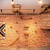 QLS Kit mur d'escalade pour chats XXL Ponts suspendus Lit Voir les images du produit 3
