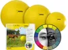 Maximus Power Play Ball gelb, Durchmesser: 65 cm Produktbild-Vorschau 5