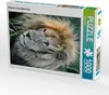CALVENDO Puzzle Braunes Löwen Männchen. Ein Motiv aus dem Produktbild-Vorschau 1