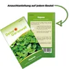 Majoran Einjährig Samen - Origanum majorana - Majoransamen Produktbild-Vorschau 3