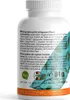 ProFuel Magnesium L-Threonate Magtein® (120 kapsułek) Podgląd zdjęcia produktu 3