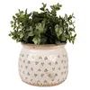 A potted plant with green leaves sits in a beige ceramic pot decorated with black hearts. Náhled obrázku produktu