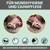 noms+ Dentalspray 50ml  für Hunde und Katzen bei Zahnstein Produktbild-Vorschau 5