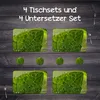Tischset 4x45x30 cm + 10fi cm Platzset Tischmatte Produktbild-Vorschau 4