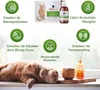 Kit de tratamiento inmunológico "Recoactiv" para gatos, 3 Vista previa de la imagen del producto 2