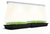 BioGreen Pflanzenlampe "FLORABOOSTER 200" mit Vollspektrum Produktbild-Vorschau 1