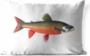 MuchoWow® Outdoor Kissen - Fisch - Rot - Lachs - 60x40 cm - Produktbild-Vorschau 1