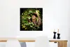 MuchoWow® Poster Ein Waldkauz in einem Baumstamm 50x50 cm - Produktbild-Vorschau 5