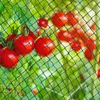 Gartenschutznetz 6x10m (30g/m2) + Stifte für Obstgarten Produktbild-Vorschau 3