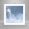 Poster - Poster ohne Rahmen - Weiß Wolf Schnee - 40x40 cm - Produktbild-Vorschau 4