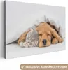 MuchoWow® - Leinwandbilder - Haustiere - Hund - Katze - Produktbild-Vorschau 1