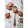 Several chocolate madeleines are arranged on a light gray and white textured surface, with two spoons holding one madeleine each, and small white flowers scattered around. Produktbild-Vorschau