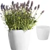 Übertopf Magnolia 36 weiss Produktbild-Vorschau 8