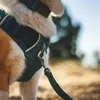 Ruffwear 3072-444S, Hund, Zugfreier Gurt, S, Türkis, Nylon, Produktbild-Vorschau 6