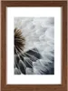 Kunststoffrahmen Breeze nuss 13x18cm, hama Produktbild-Vorschau 1