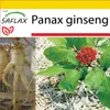 SAFLAX Kultivačný set - Pravý kórejský ženšen - Panax Náhľad obrázku produktu 10