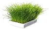 TRIXIE 4236, Katze, 100 g Produktbild-Vorschau 4