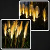 Solar Gartenleuchte Led Pampasgras 80 Cm Warmweiss 3000K Produktbild-Vorschau 6