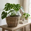 Pflanzkorb BÜSUM Natural Grey ca.40cm Natur-Rattan Korb Produktbild-Vorschau 1