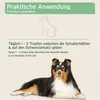AniForte Ectoprotex dog Spot On für Hunde 50ml - Repellent Produktbild-Vorschau 4