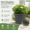 Doniczka Fiona antracyt Ø 30 cm - mrozoodporna i odporna na Podgląd zdjęcia produktu 5