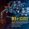 Himalaya Shilajit Gold Gummies Gummibärchen Fulvosäure Produktbild-Vorschau 4