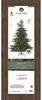 EVERLANDS Weihnachtsbaum Grandis Tanne 681451 180cm Produktbild-Vorschau 6